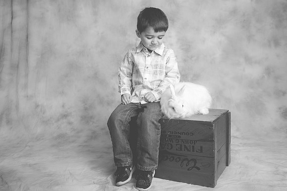 Bunny-2016-69