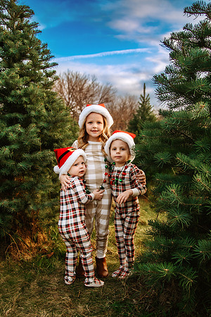 Tree Farm 2024-23