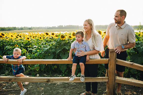Sunflowers-177