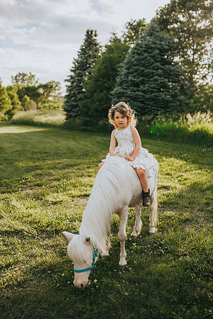Pony 2021-37