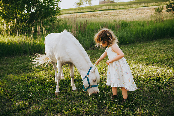 Pony 2021-23