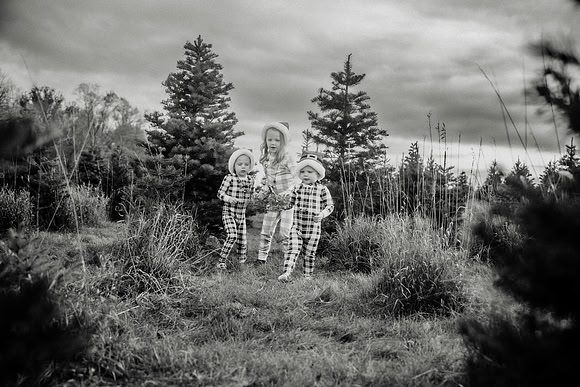 xTree Farm 2024-116