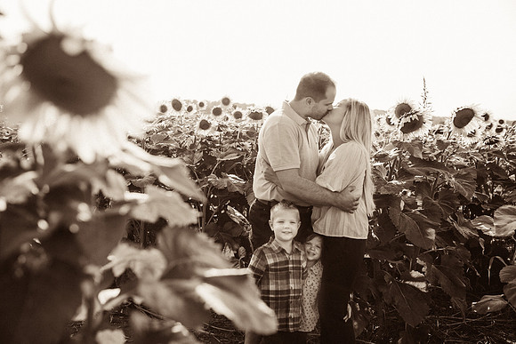 xSunflowers-6