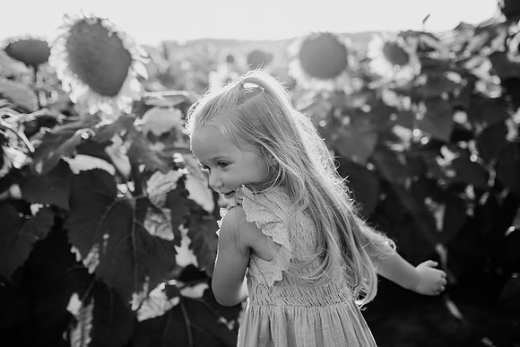 xSunflower 2022-102
