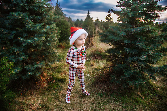 Tree Farm 2024-45