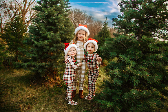 Tree Farm 2024-31