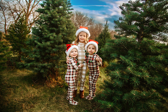 Tree Farm 2024-30