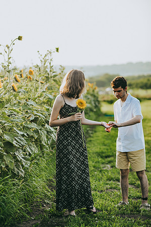 Sunflowers 2021-62