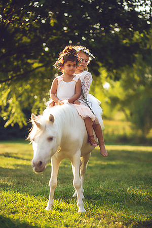 Unicorn-15
