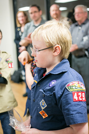 Pack 429-208