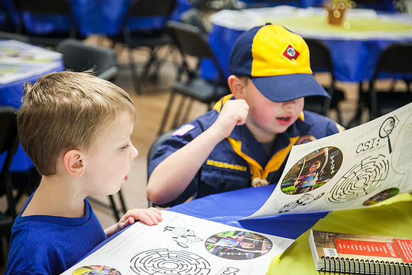 Pack 429-237