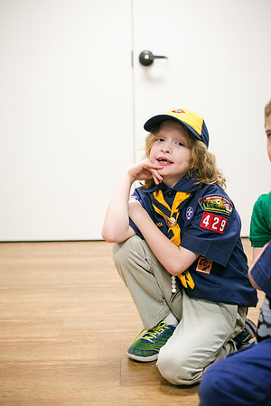 Pack 429-173