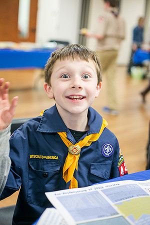 Pack 429-146