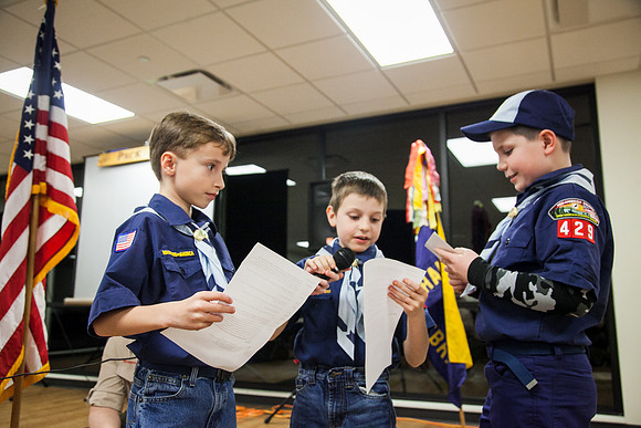 Pack 429-379