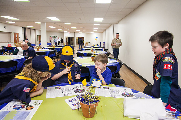 Pack 429-250