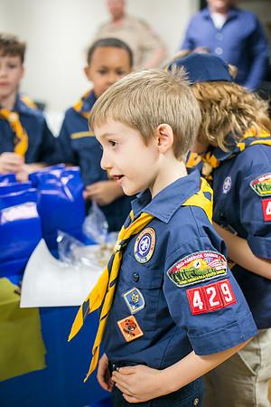 Pack 429-196