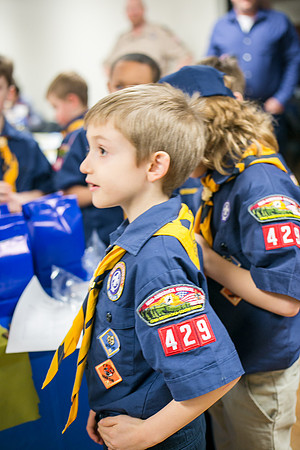 Pack 429-195
