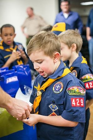 Pack 429-194