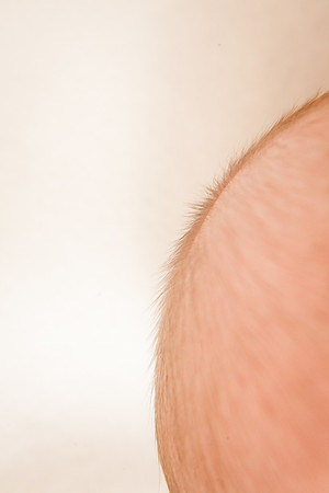 Newborn-22