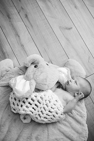 Newborn-61