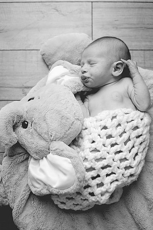 Newborn-60