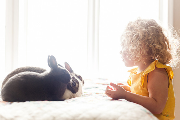 Bunnies 2018-35