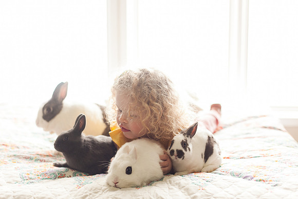 Bunnies 2018-28