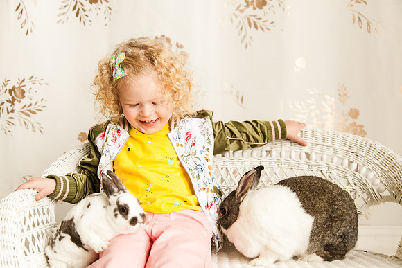 Bunnies 2018-20