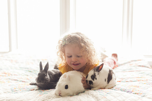 Bunnies 2018-27