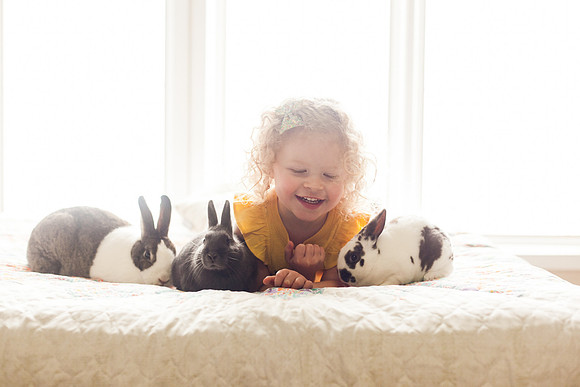 Bunnies 2018-25