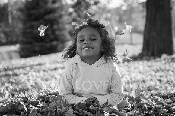 Family 2017-104