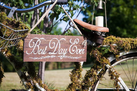Wedding (40 of 1047)