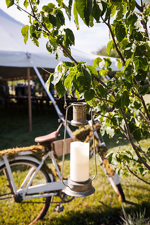 Wedding (36 of 1047)