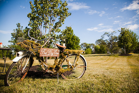 Wedding (37 of 1047)