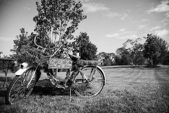 Wedding (38 of 1047)