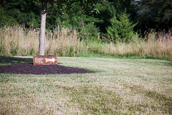 Wedding (35 of 1047)