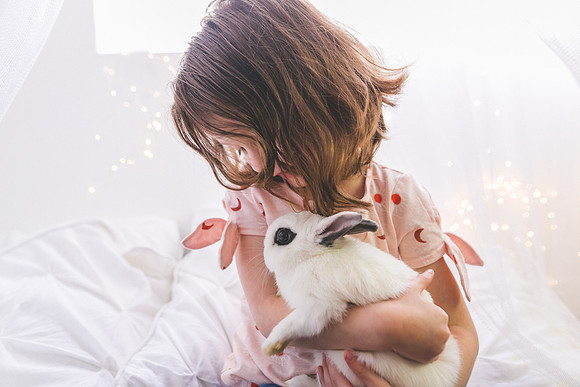 Bunnies 2019-22