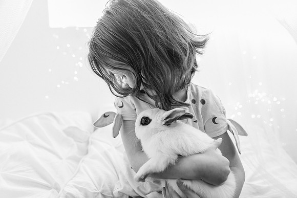 xBunnies 2019-22