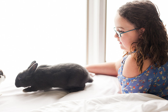 Bunnies 2018-26