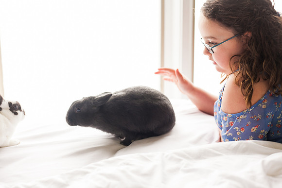Bunnies 2018-25