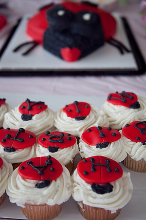 Mia's 1st BDay-35