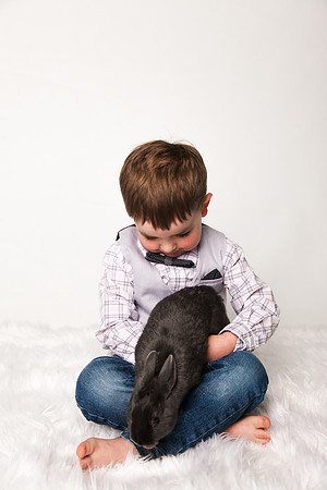 Owen Bunnies 2018-6