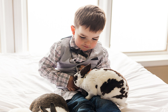 Owen Bunnies 2018-18
