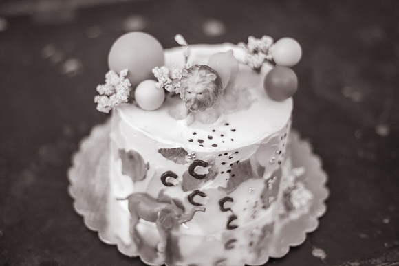xCivens 1yr-101