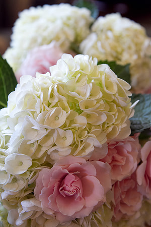 M+M Wed-231