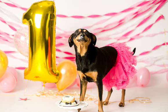Libby 1yr-33