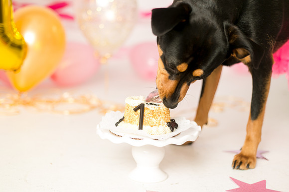 Libby 1yr-23