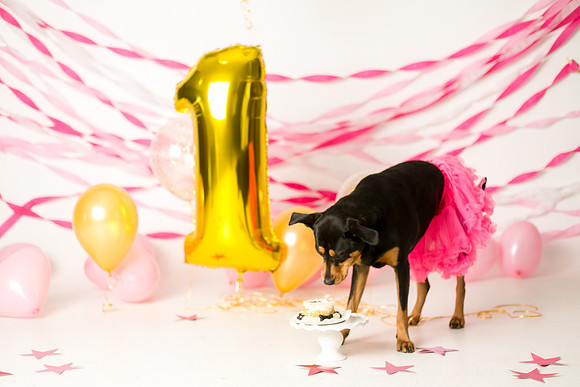 Libby 1yr-34