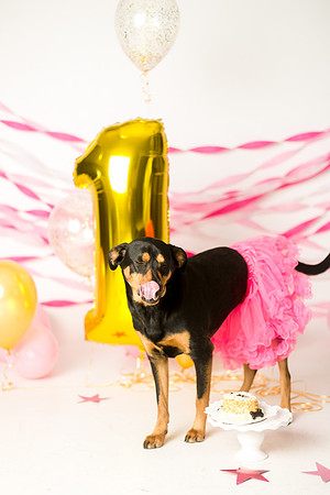 Libby 1yr-28