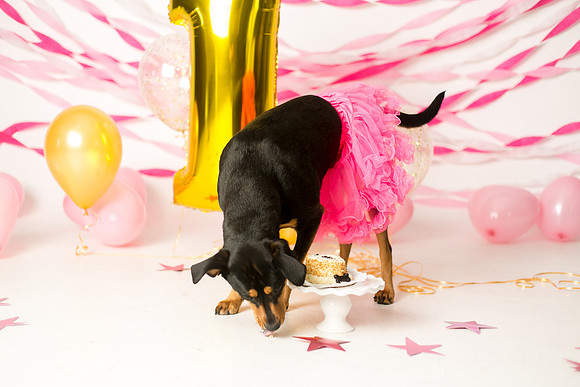 Libby 1yr-27